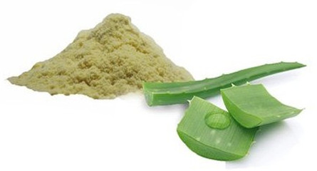Aloe Vera (Aloe) - Dry Leaves & Powder